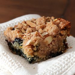 Wild Blueberry Coffee Cake (vegan)