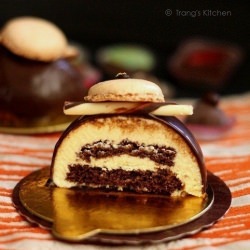 Chocolate Passion Mousse Entremets
