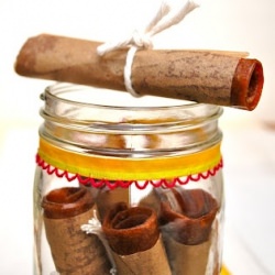 Home-made Fruit Leather Snacks