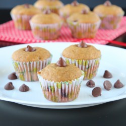Pumpkin Chocolate Chip Muffins