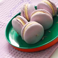 Lavender Macarons