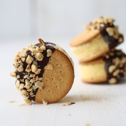 Ice Cream Sandwiches