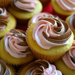 vanilla cupcakes