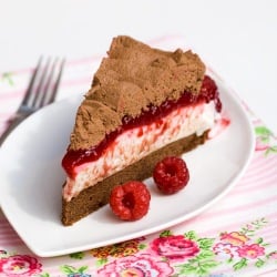 Raspberry Chocolate Mousse Cake