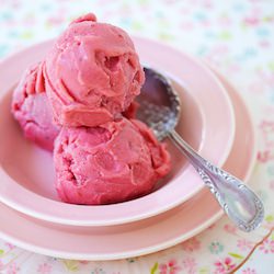Roasted Plum Frozen Yogurt