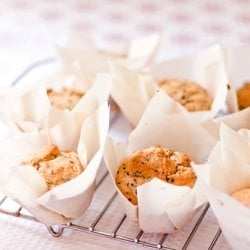 Lemon Black Sesame Seed Muffins