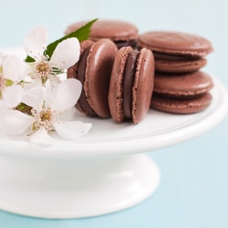 Chocolate Macaron