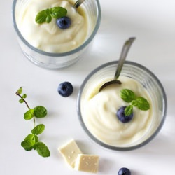 Blueberry Dessert