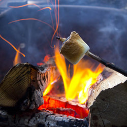 how to toast
