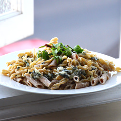 Creamy Pasta
