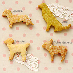 Savory Cookies
