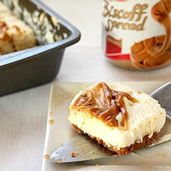 Biscoff Swirl Cheesecake