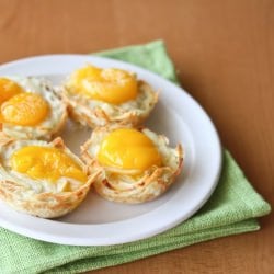 Egg Nests