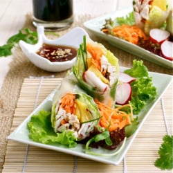 Chicken and Peach Summer Rolls