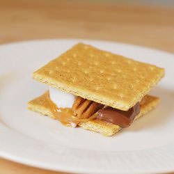 S’mores Turtles