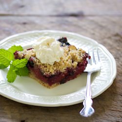 Plum & Blueberry Crumble Tart