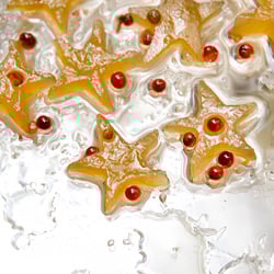 Candied Watermelon Rinds