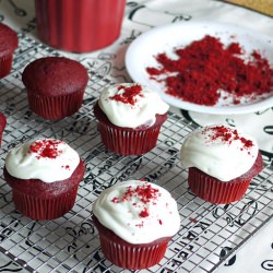 Majestic Red Velvet Cup Cakes