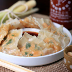 Sweet Potato and Lemongrass Gyozas