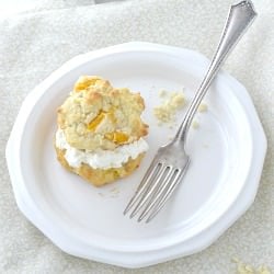 Mini Peach Shortcakes