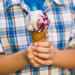 Blueberry Crisp Ice Cream
