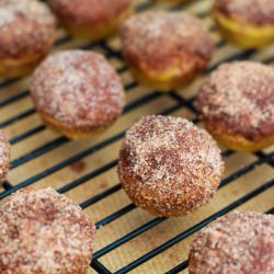 Pumpkin Muffins
