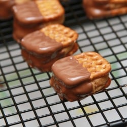 Buckeye Bites