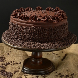 Dark Chocolate Frosted Yellow Cake