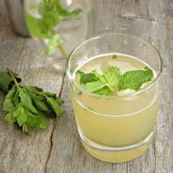 Orange Mojito w/Mint