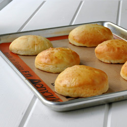 Hamburger Buns