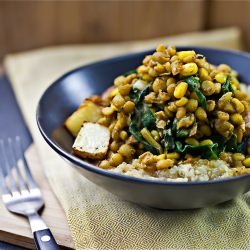 Curried Lentils, Corn, & Chard