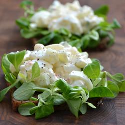 Creamy Egg Salad