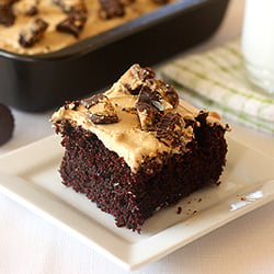 Chocolate Peanut Butter Sheet Cake