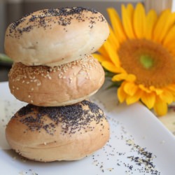 New York-Style Bagels