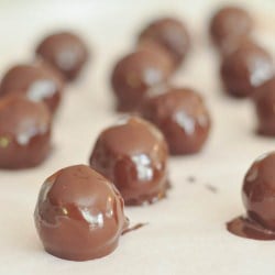 chocolate apricot truffles