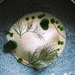 Codfish, dill oil, celery