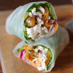 Pulled Pork Spring Roll