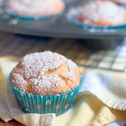 Orange Blossom Muffins