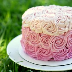 Ombre Rose Cake