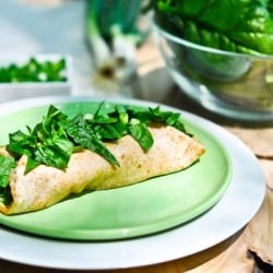 Green Enchilada Recipe