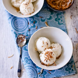 Coconut Vanilla Ice Cream