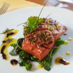 Niko’s Wild Salmon Marinade