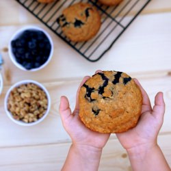 Walnut Oatmeal Muffins