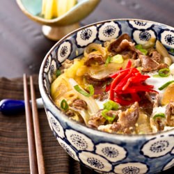 Gyudon | Beef Bowl