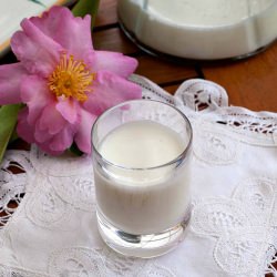 Ayran
