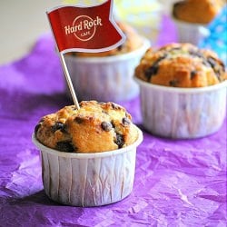 Vanilla Muffins w/ Chocolate Chips