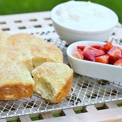 Strawbery-Lemon Shortcakes