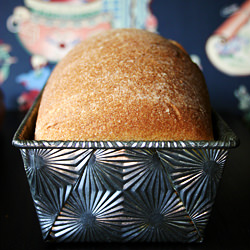 Honey Whole Wheat Bread