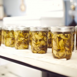 Bread and Butter Pickles