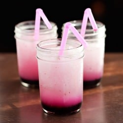 Frozen Blueberry Lemonade